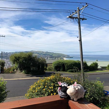 Bed and Breakfast Wow @ Saint Clair Dunedin Exterior foto