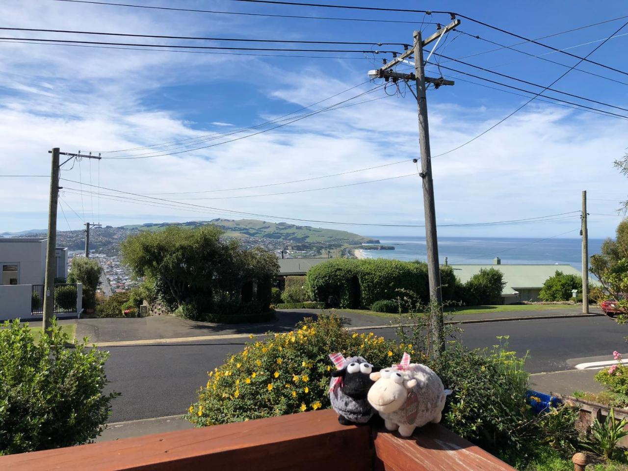 Bed and Breakfast Wow @ Saint Clair Dunedin Exterior foto
